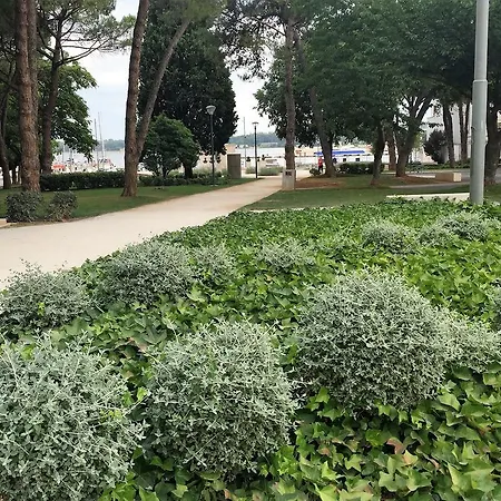 아파트 Arenacentar 풀라